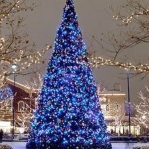 Meet your Posher, Judy